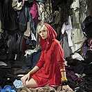 官方认证可信的网站ddos